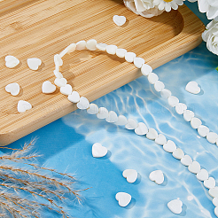 2 нитка 2 стиля натуральные пресноводные ракушки бусины нитки SHEL-FH0001-26