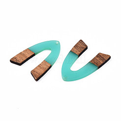 Подвески из прозрачной смолы и ореха&nbsp;RESI-N025-029-C04