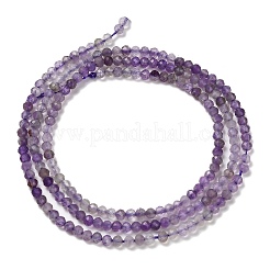 Природный аметист нитей бисера G-H321-A01-01