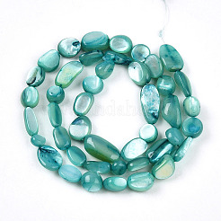 Нити бусин из натуральной белой ракушки&nbsp;SHEL-N036-21C