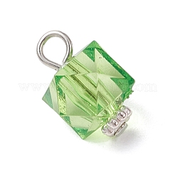 Прозрачные акриловые подвески&nbsp;PALLOY-JF04258-02