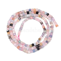 Природные морганит нитей бисера G-L628-D04-2x2mm