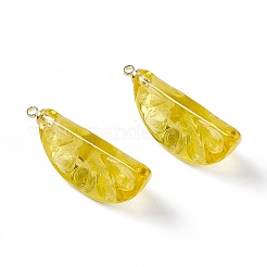 Прозрачные смоляные подвески&nbsp;LS-RESI-P020-01P