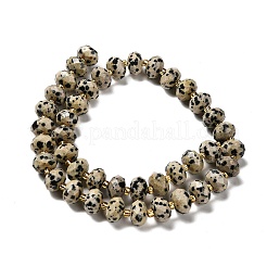 Природные яшмы далматин бисер нитей G-P573-A63-10x6mm