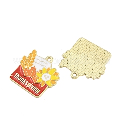 Подвески из сплава с эмалью на тему Дня благодарения&nbsp;FIND-I065-04J-G