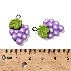 Подвески из непрозрачной смолы с изображением фруктов RESI-I065-01B