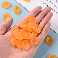 Прозрачные матовые акриловые подвески&nbsp;MACR-S371-03A-724