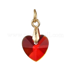 10шт 10 цвета стеклянные подвески&nbsp;PALLOY-JF04432