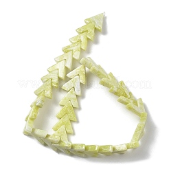 Натуральные нефритовые бусины G-H074-B01-01