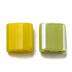 2-дырочные стекло бисер SEED-XCP0001-13