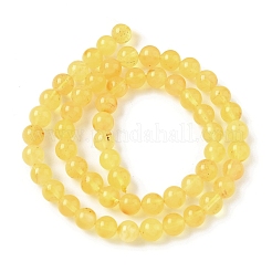 Янтарные шарики нити&nbsp;G-L095-B01-6mm-01