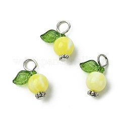 Акриловые подвески&nbsp;PALLOY-JF02614-01