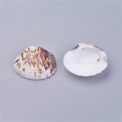 Подвески из раковины&nbsp;BSHE-P026-04