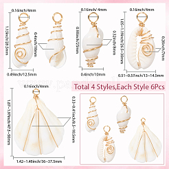 24 шт. подвески из натуральных ракушек в 4 стилях&nbsp;FIND-SC0015-67