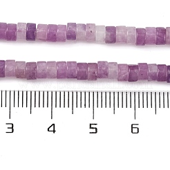 Натуральный лепидолит / пурпурный слюдяный камень бисер пряди G-NH0001-F04-01