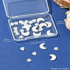 30шт 3 стиля натуральные бусины из пресноводных ракушек&nbsp;BSHE-CJ0001-09