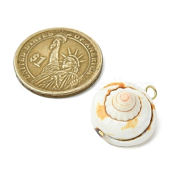 2 шт. 2-х цветные подвески в виде ракушки глаза Шивы из натурального и синтетического материала PALLOY-JF03383