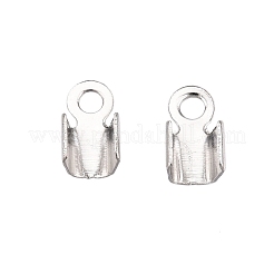 Железом мозг конец IFIN-T021-01P