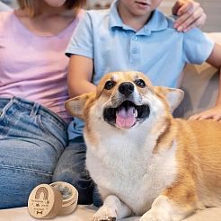 1 шт.&nbsp;CON-CN0001-16D