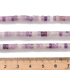 Натуральный лепидолит / пурпурный слюдяный камень бисер пряди G-Z110-A11-2x4mm