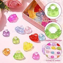 60шт 2 стиля прозрачные акриловые подвески&nbsp;TACR-YW0003-38