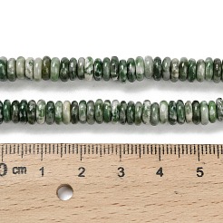 Натуральные зеленые пятна яшмовых нитей G-Q159-B35-01