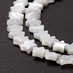 Бусины из натуральных трохоидных/трохус ракушек SSHEL-O001-25A-01