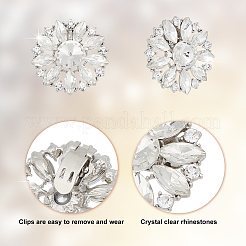 Ahademaker 4 шт. 2 стильные съемные клипсы из сплава с кристаллами и стразами для обуви FIND-GA0002-15