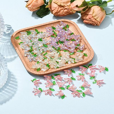 50шт прозрачные акриловые подвески PALLOY-FS00038-01-1