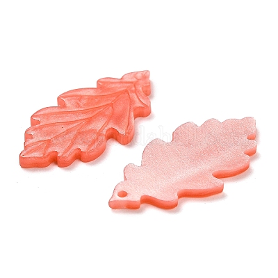 Непрозрачные акриловые подвески OACR-I020-07B-1