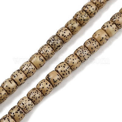 Натуральные бусины из семян рудракши бодхи WOOD-B010-A03-5x6mm-1