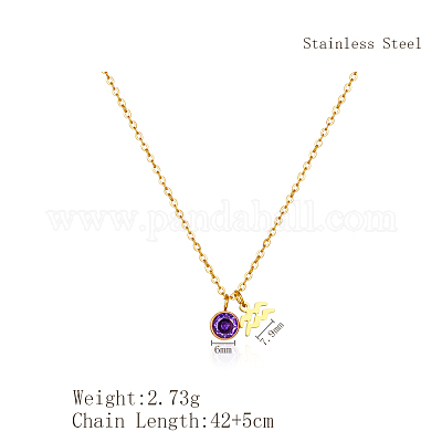 Ожерелья с подвеской из нержавеющей стали с фиолетовым кубическим цирконием и камнем-талисманом Водолея для женщин ZA6688-3-1