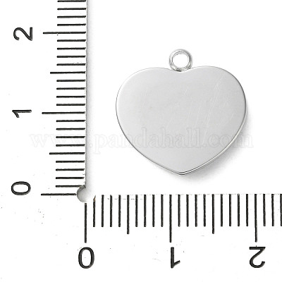 Подвески из акрила из нержавеющей стали 304 STAS-M091-02B-P-1