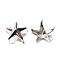 Alloy Bag Decorative Clasps, Star, Platinum, 10x10mm