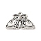 Tibetan Style Alloy Pendants, Cadmium Free & Lead Free, Moth, Antique Silver, 12.5x20x2mm, Hole: 1.5mm, about 820Pcs/1000G