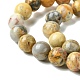 Натуральные сумасшедшие кружевные агатовые круглые бусины G-M272-03-10mm-5