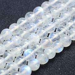 Бусины из натурального радужного лунного камня, класс А, круглые, 6 мм, отверстие : 1 мм, около 67 шт / нитка, 15.7 дюйм (40 см)