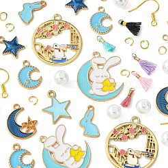 Наборы для изготовления висячих сережек с кисточками из сплава эмали DIY-FS0001-21B