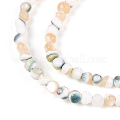 Нити светящихся бусин из натуральных ракушек SSHEL-N040-05