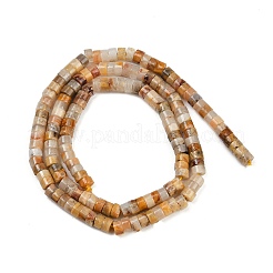 Природные сумасшедший агат бисер нитей G-H230-82