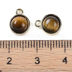 Природных тигровый глаз подвески&nbsp;G-K372-03G-13