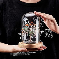 Прозрачная стеклянная коробка CON-WH0078-78