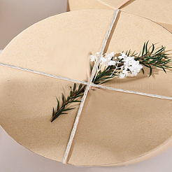 Джутовый шнур длиной 50 метр.&nbsp;OCOR-LP0002-68B