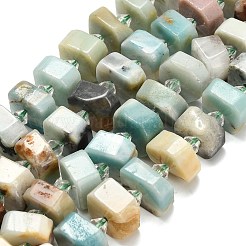 Натуральный цветок амазонитовые бусины пряди G-L642-H10-01