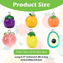 12шт 6 стиля подвески из смолы&nbsp;RESI-YW0006-10