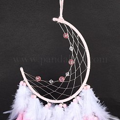 Железная тканая паутина/сетка с подвесками из перьев&nbsp;AJEW-P097-02