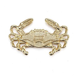 Подвески из сплава  X-TIBEP-A040-016G-NR