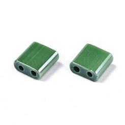 2-дырочные стекло бисер SEED-S031-L-ST127