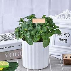 Этикетки завода латуни IFIN-GA0001-01