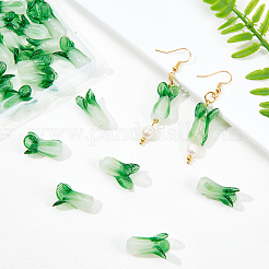 30шт ручной работы бусины лэмпворк&nbsp;LAMP-OC0001-31